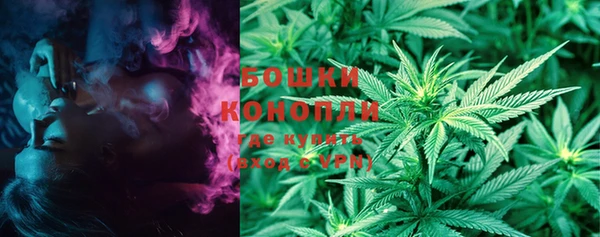 крисы Осташков
